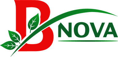Bnova